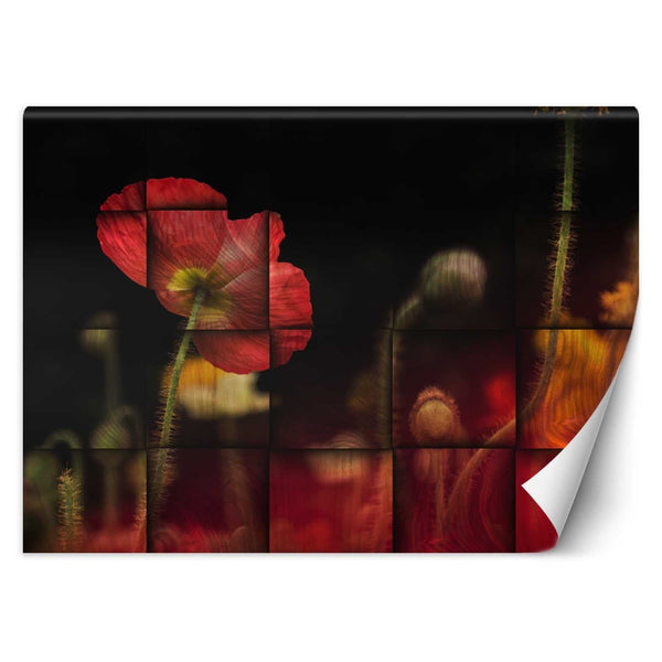 Fototapetai, Raudonos aguonos