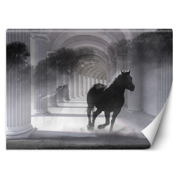 Fototapetai, Arklių tunelis 3D stulpeliai Pilka