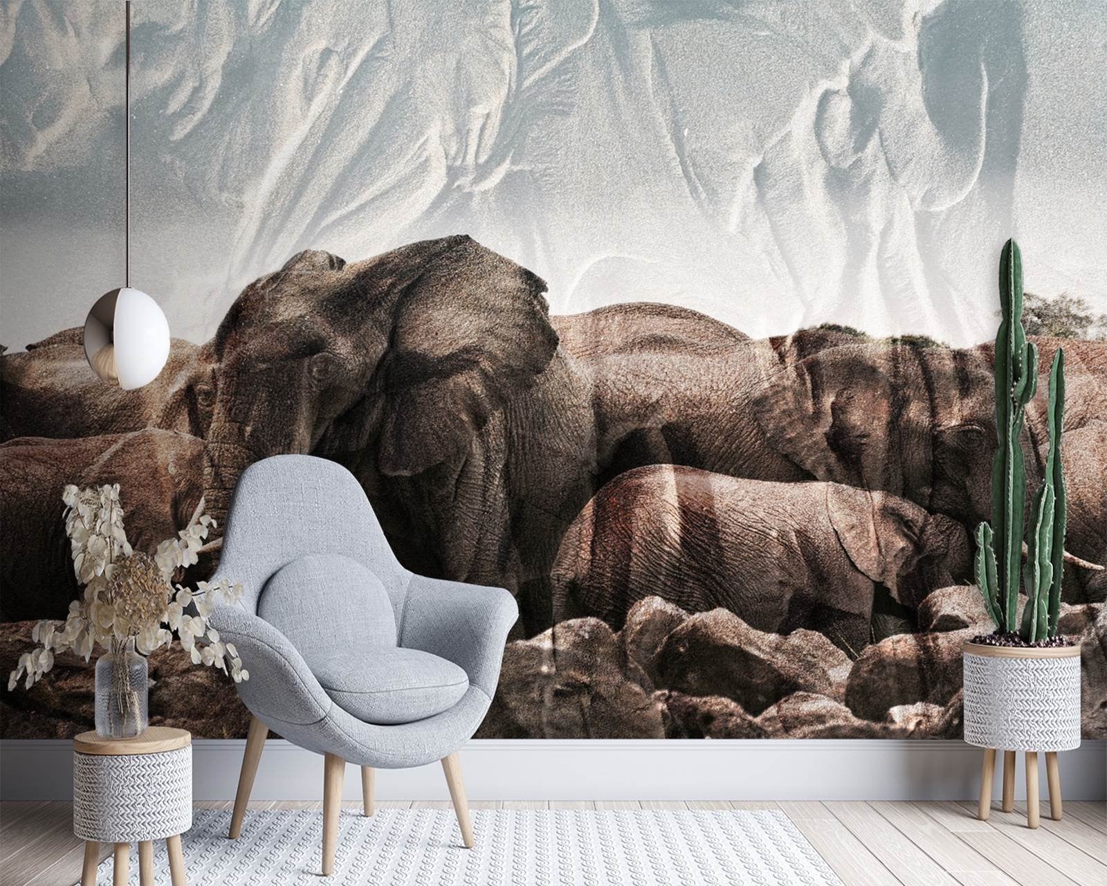 Fototapetai, Dramblys Afrika Gyvūnas Gamta