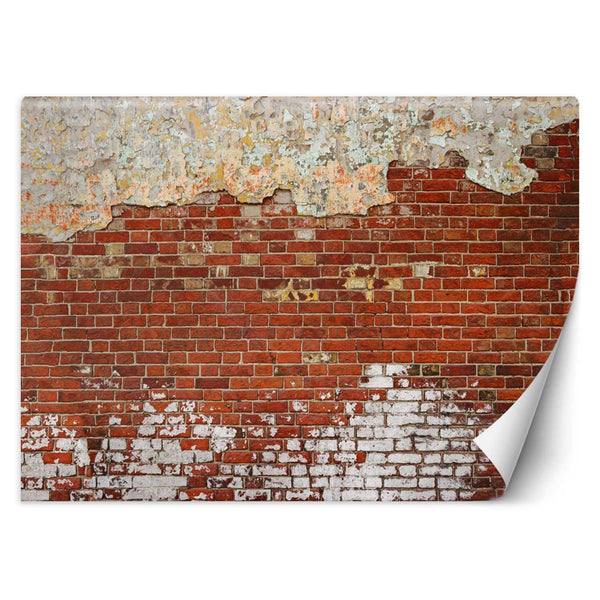 Fototapetai, Plytų optika plytų siena