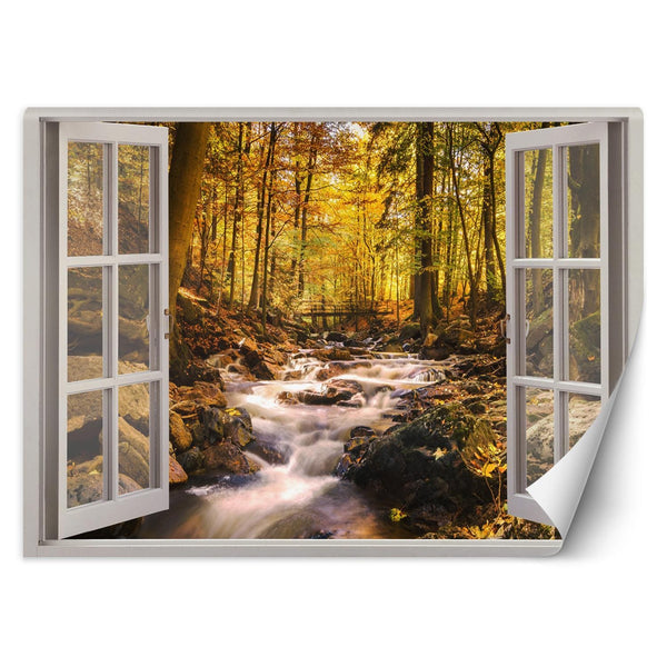 Fototapetai, Langas - Miško upelio gamta