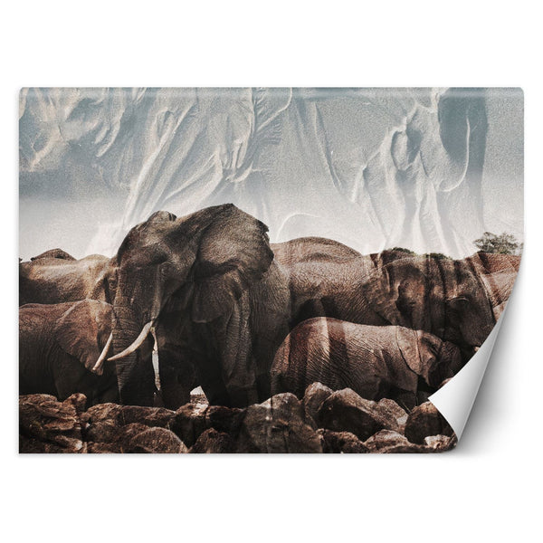 Fototapetai, Dramblys Afrika Gyvūnas Gamta