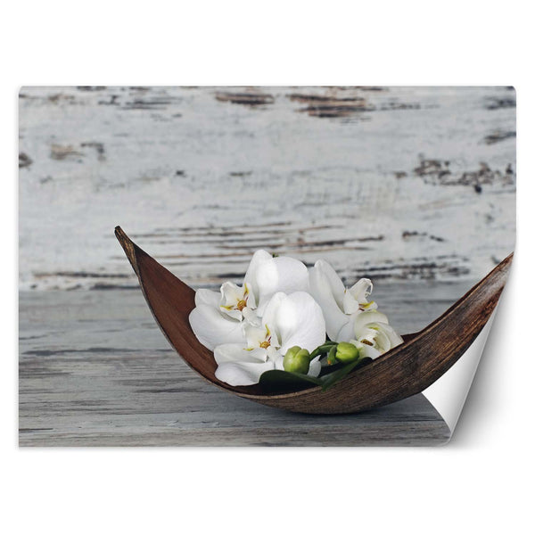 Fototapetai, Zen Spa Orchidėjos Derlius