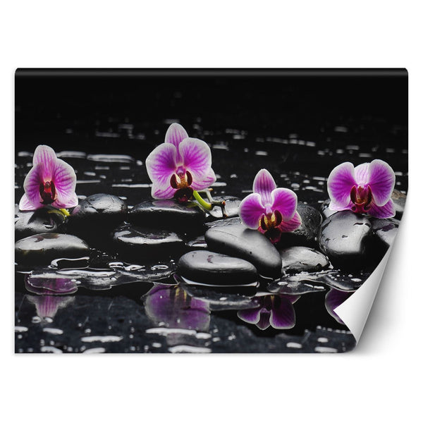 Fototapetai, Zen akmenys ir orchidėjos