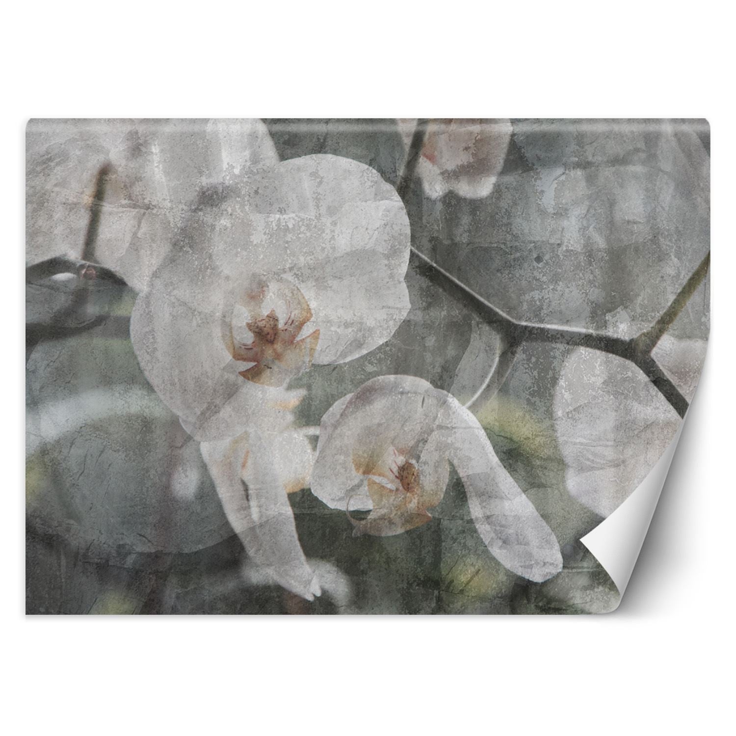 Fototapetai, Orchidėjų gėlės Retro