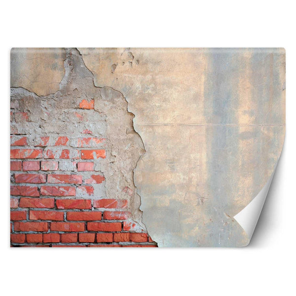 Fototapetai, Plytų optikos siena betono 3d