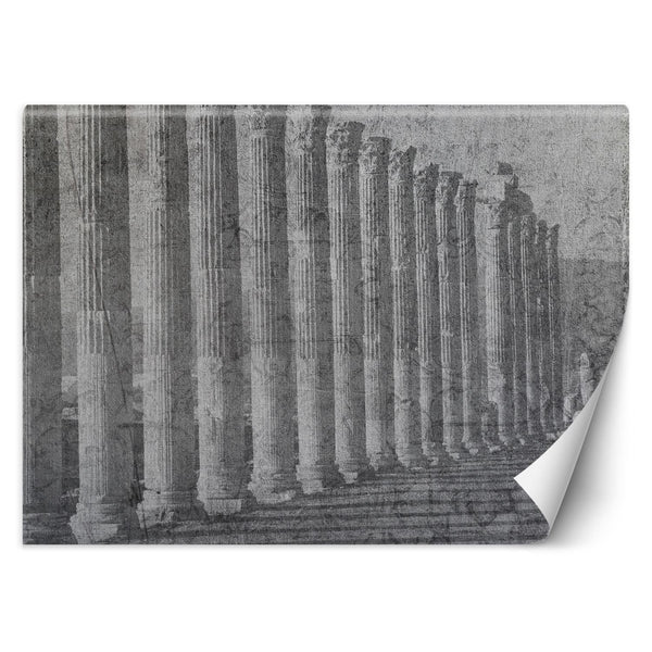 Fototapetai, Antikvarinės kolonos