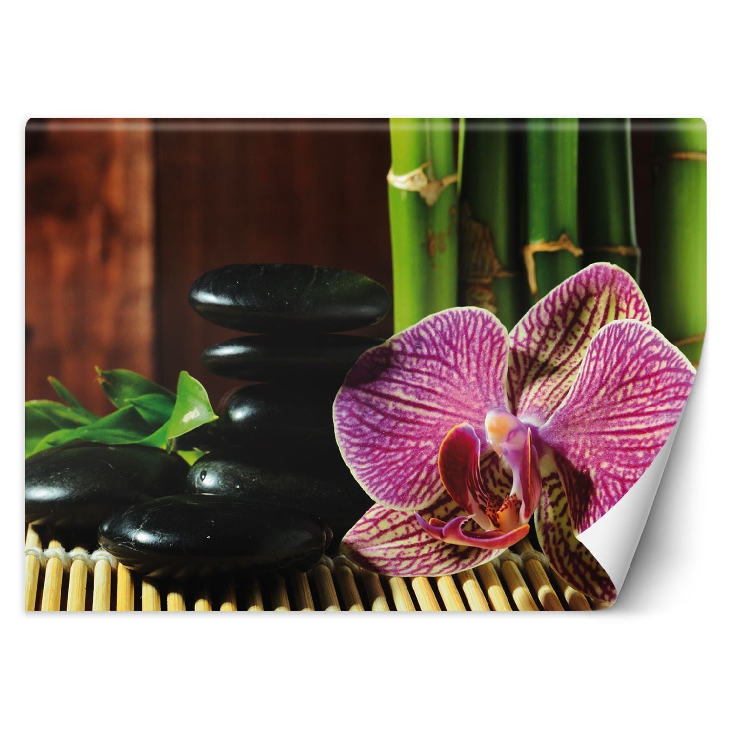 Fototapetai, Orchidėja Zen akmenys ir bambukas