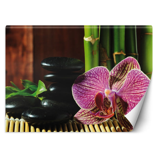 Fototapetai, Orchidėja Zen akmenys ir bambukas