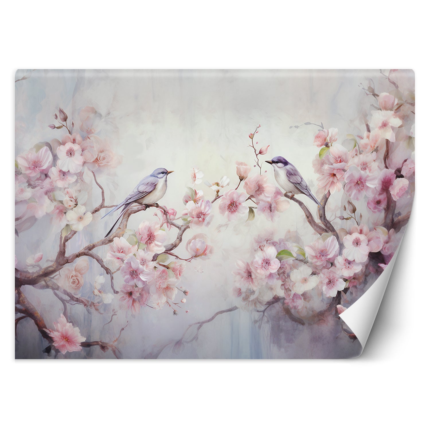 Fototapetai, Shabby Chic paukščiai ir gėlės