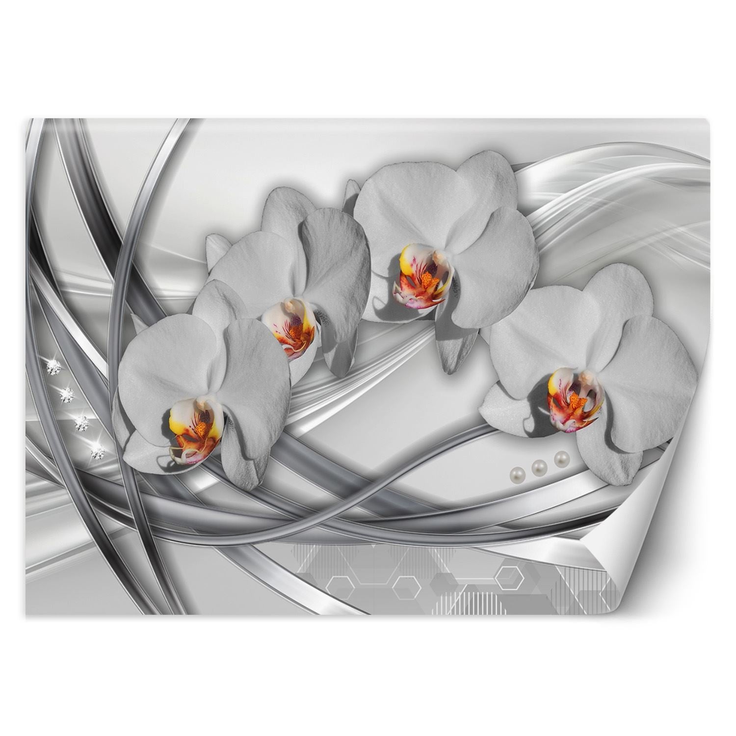Fototapetai, Abstrakčios orchidėjos
