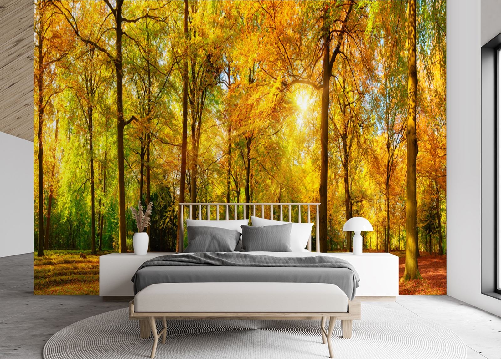 Fototapetai, Rudens miško gamta