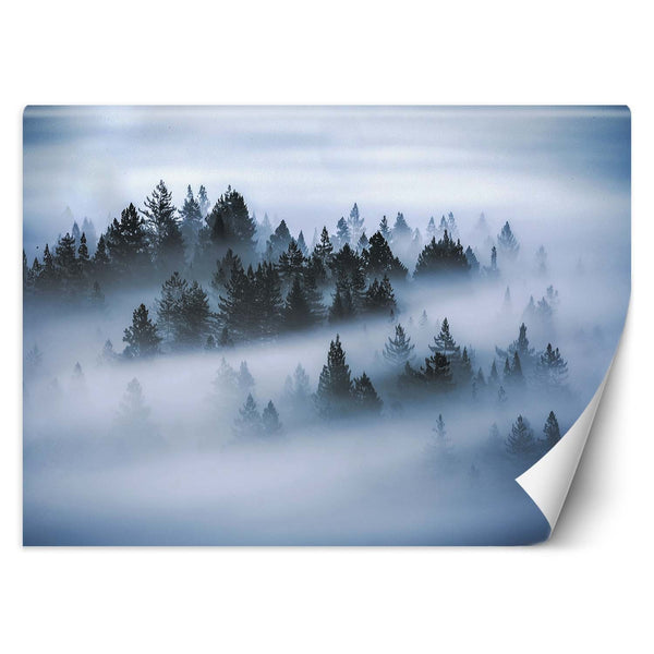 Fototapetai, Miškas rūke