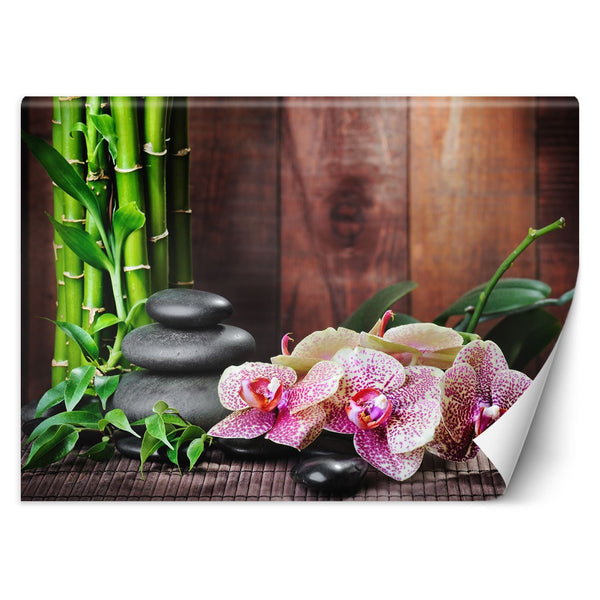 Fototapetai, Orchidėja su bambuku