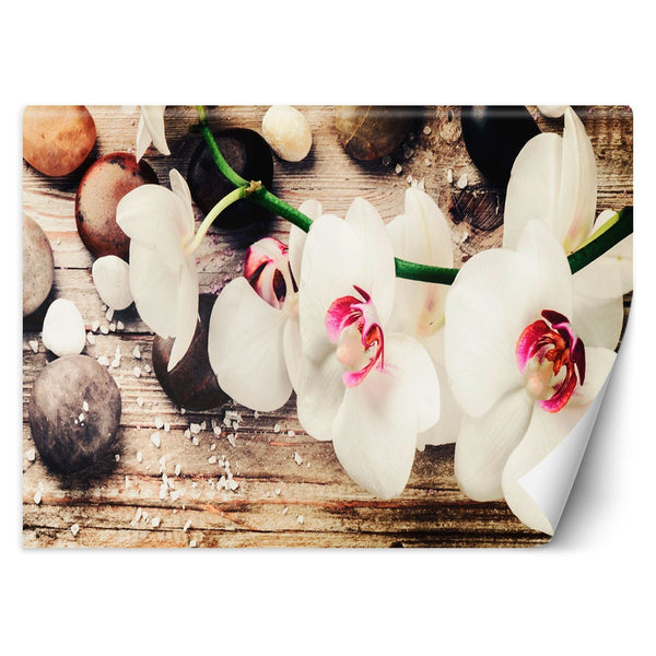Fototapetai, Zen orchidėjos