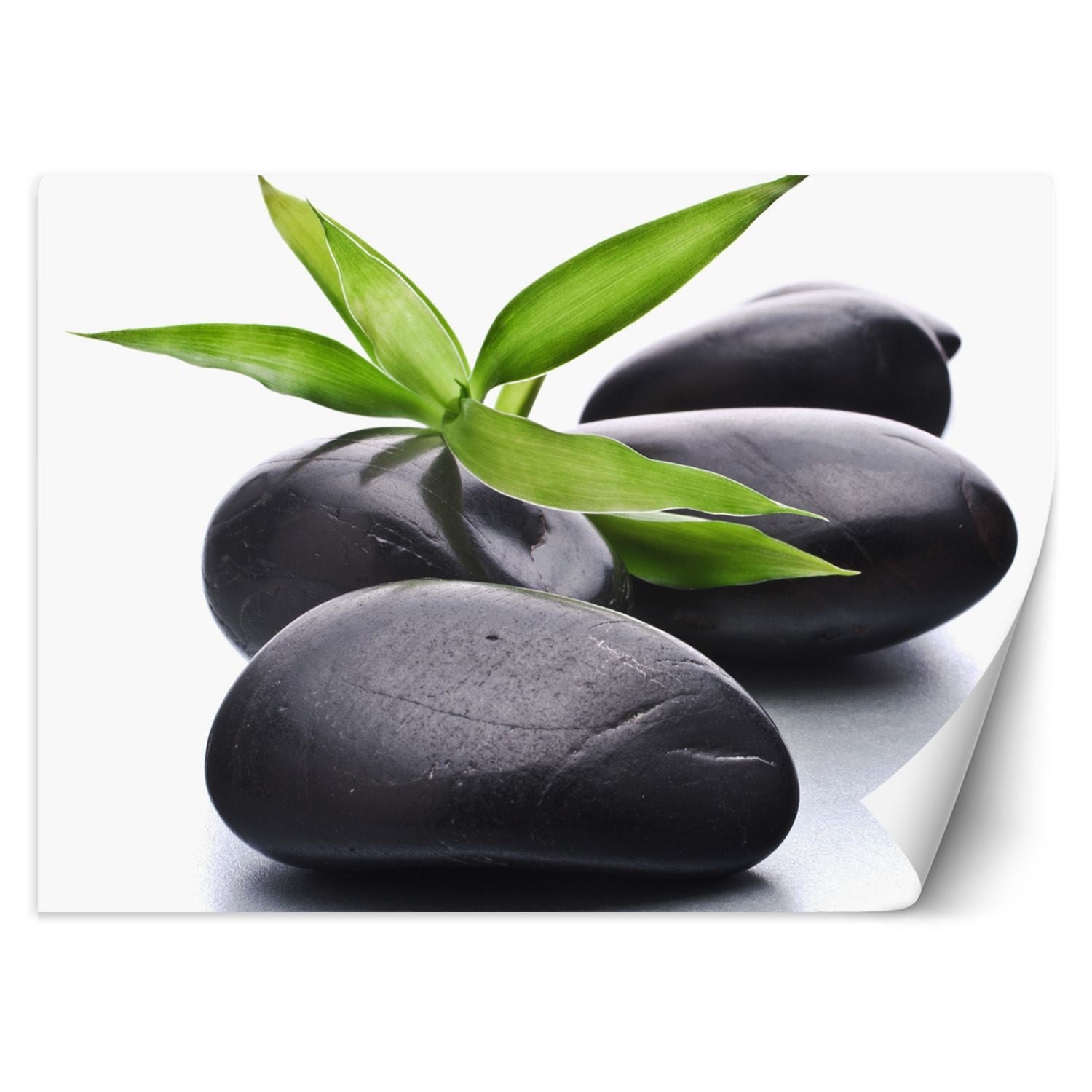 Fototapetai, Zen akmenys Spa