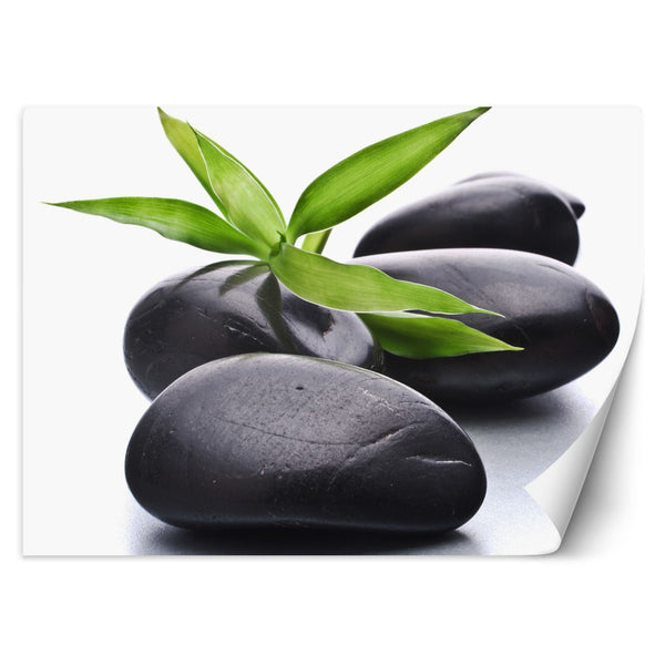 Fototapetai, Zen akmenys Spa
