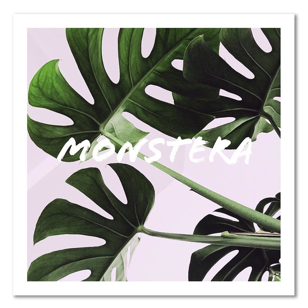 Paveikslas ant drobės MONSTERA